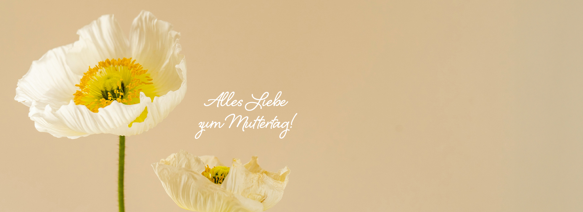 250508_Mephisto_DE_Muttertag_Buehne_Desktop_1920x700px_DU_01